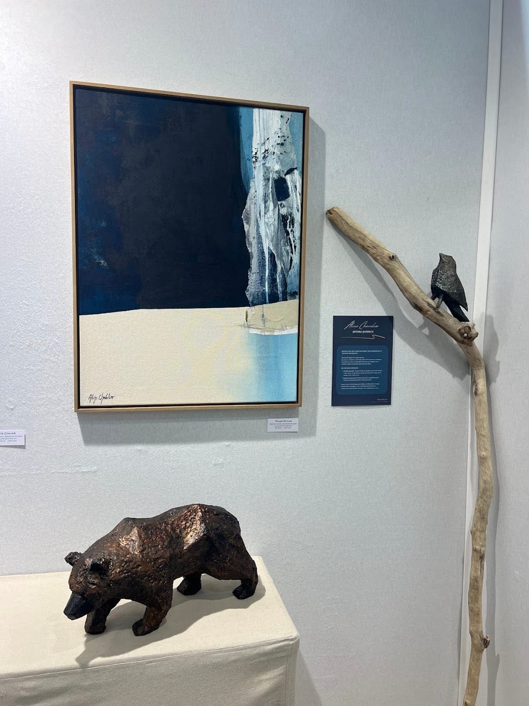 Plongée verticale – Image 2