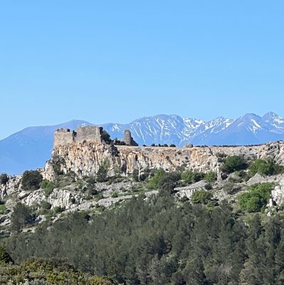 Château de Salvaterre