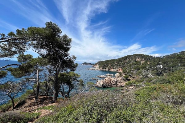 mon atelier à Opoul Perillos et son environnement , le bord de mer
